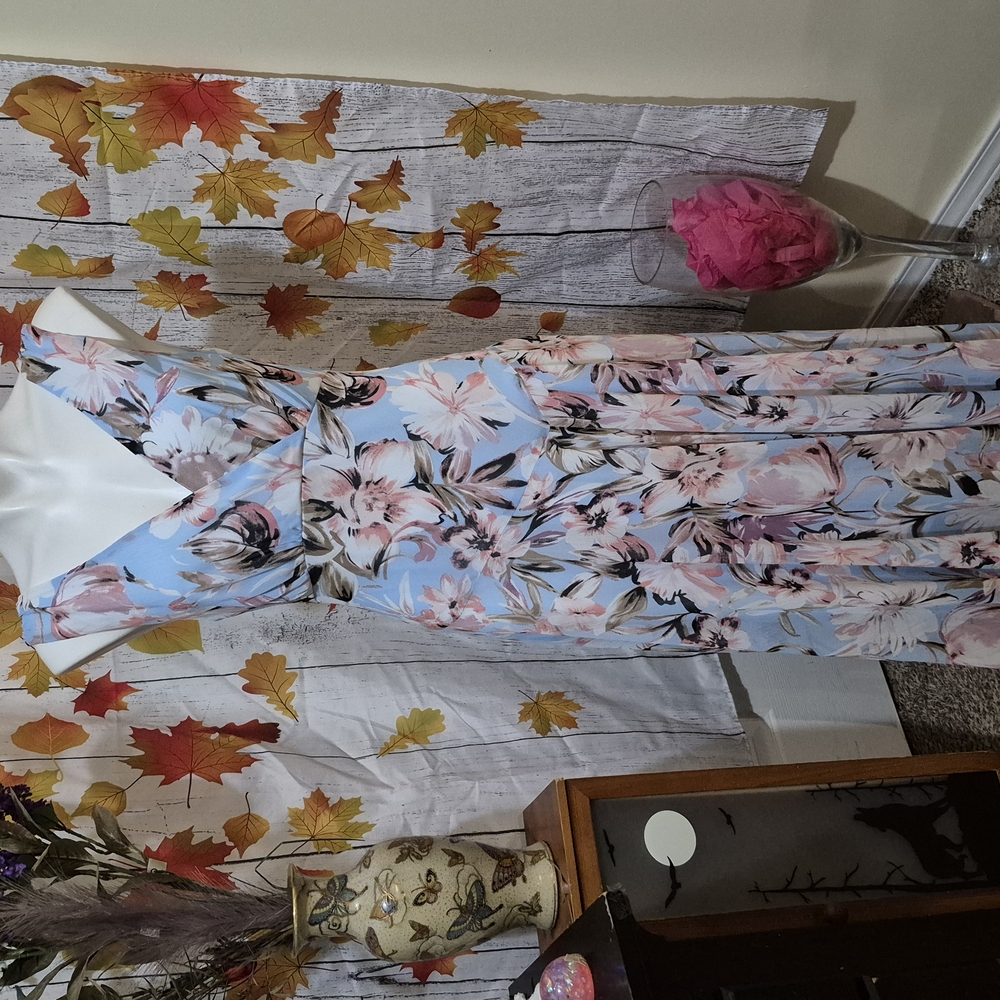 Connected Apparel Floral Dress - Light Blue and Pink